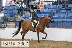 13r14_3607 proof