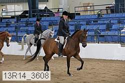 13r14_3608 proof