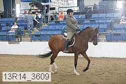 13r14_3609 proof