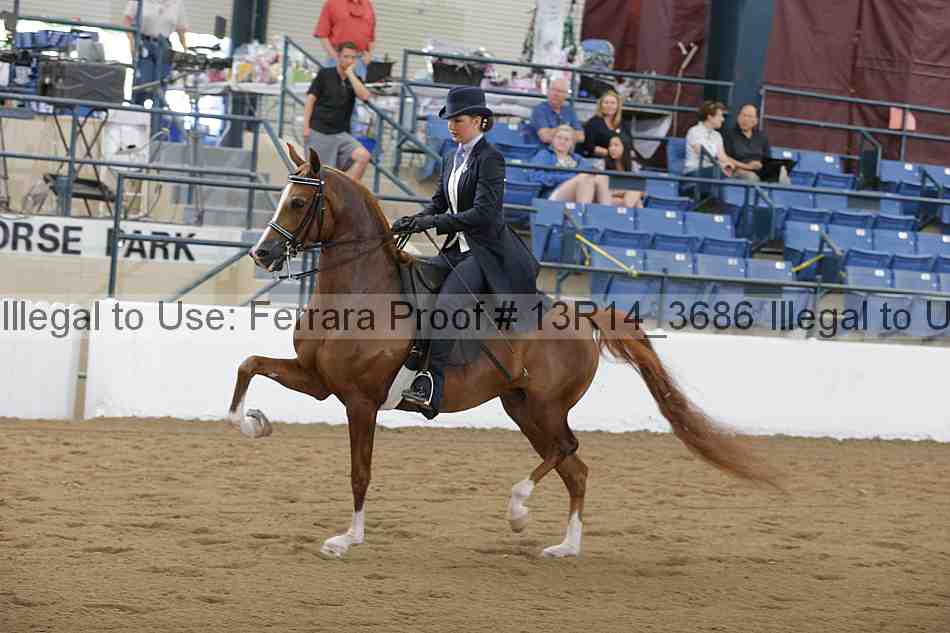 Proof 13r14_3686