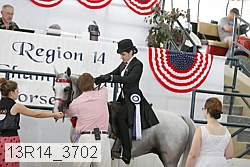 13r14_3702 proof