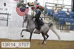 13r14_3707 proof
