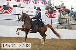 13r14_3708 proof
