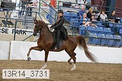13r14_3731 proof