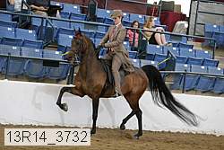 13r14_3732 proof