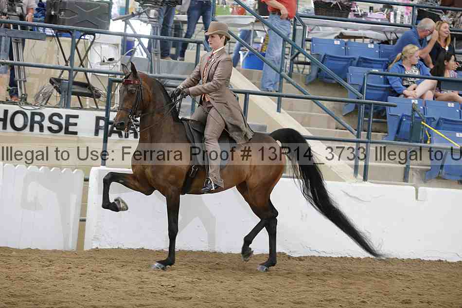 Proof 13r14_3733