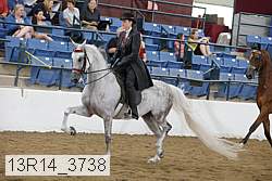 13r14_3738 proof