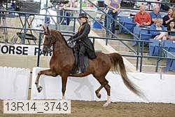 13r14_3743 proof