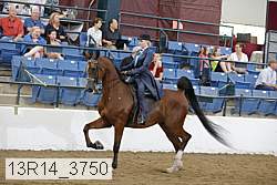 13r14_3750 proof