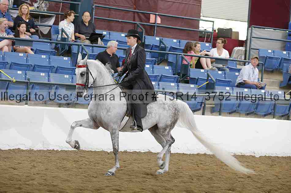 Proof 13r14_3752