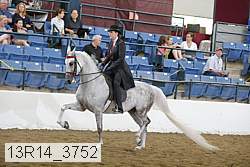 13r14_3752 proof