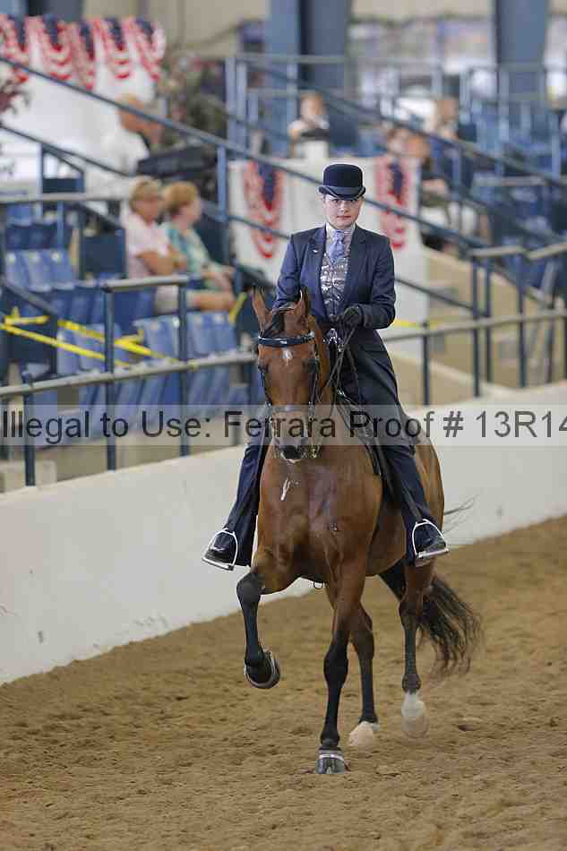 Proof 13r14_3753