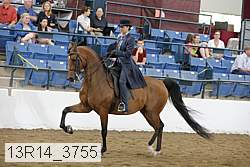 13r14_3755 proof