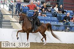13r14_3756 proof