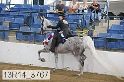 13r14_3767 proof
