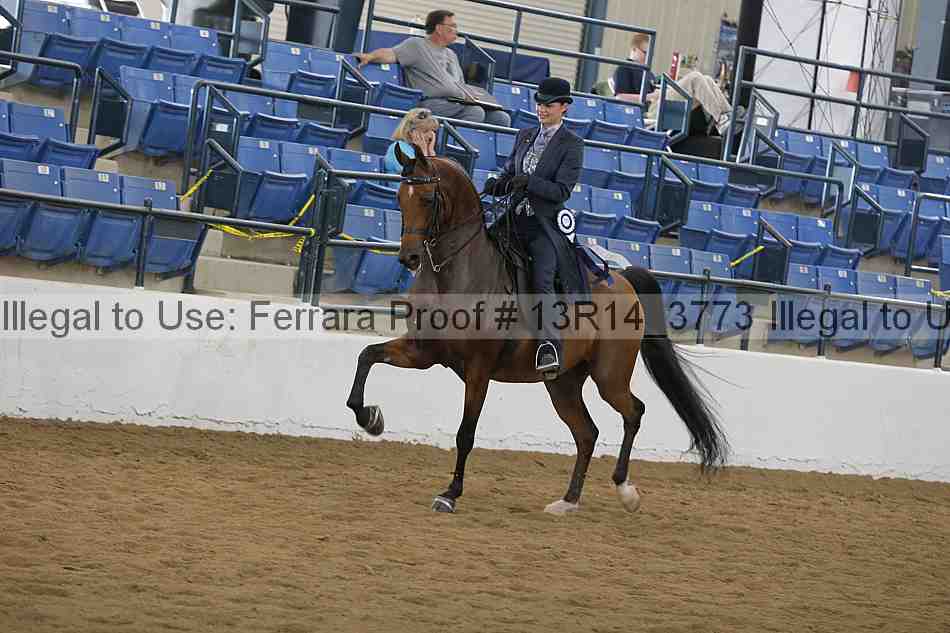 Proof 13r14_3773