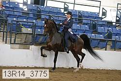 13r14_3775 proof