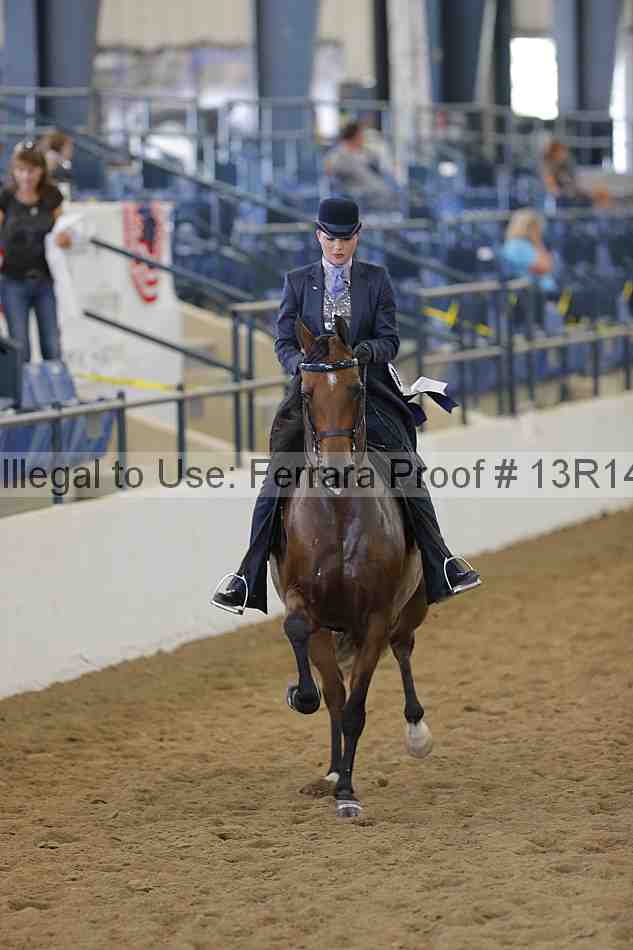 Proof 13r14_3776