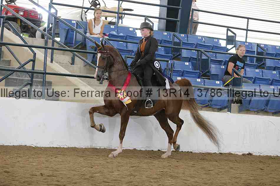 Proof 13r14_3786