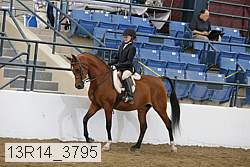 13r14_3795 proof