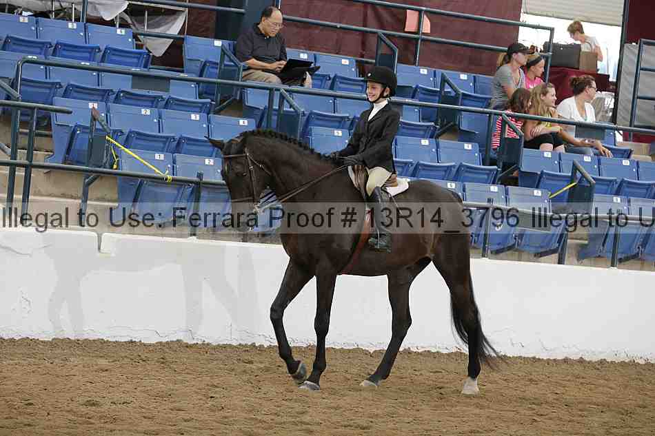 Proof 13r14_3796