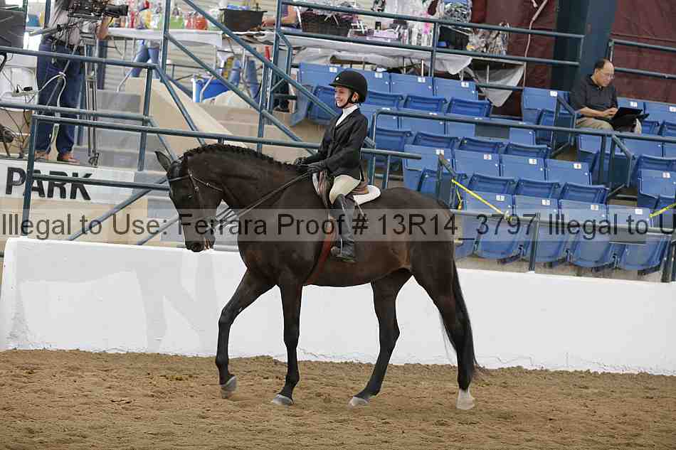 Proof 13r14_3797