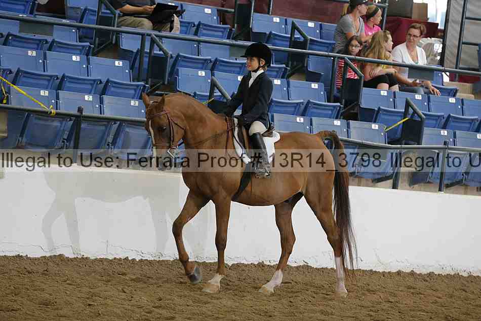 Proof 13r14_3798