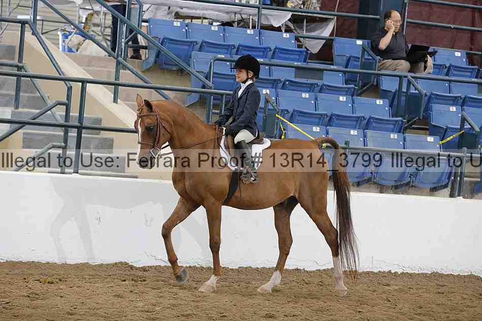 Proof 13r14_3799
