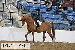 13r14_3799 proof