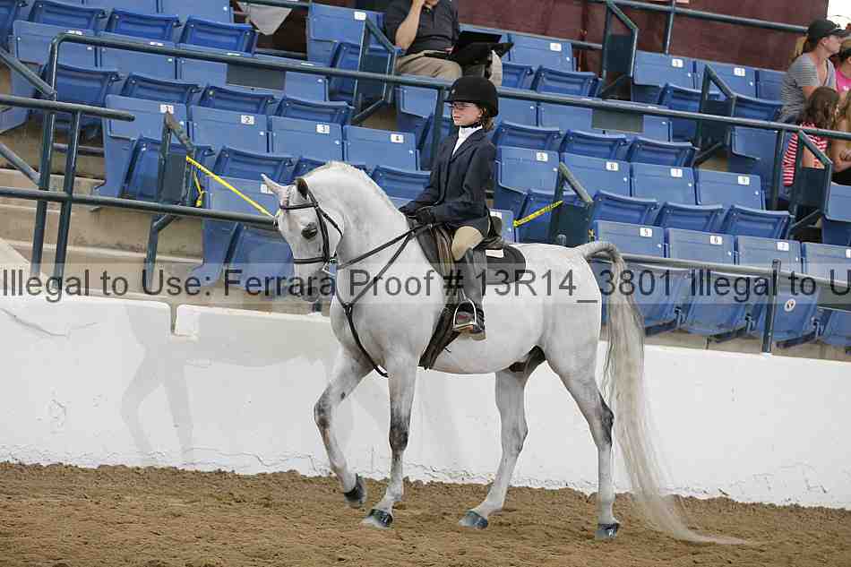 Proof 13r14_3801