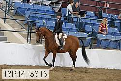 13r14_3813 proof