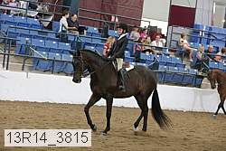 13r14_3815 proof