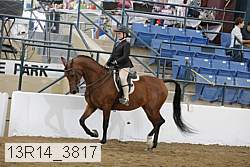 13r14_3817 proof
