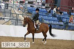 13r14_3822 proof
