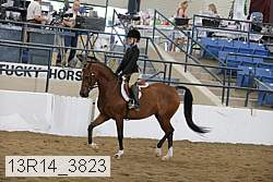 13r14_3823 proof