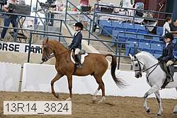 13r14_3824 proof