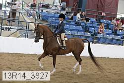 13r14_3827 proof
