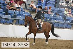 13r14_3838 proof