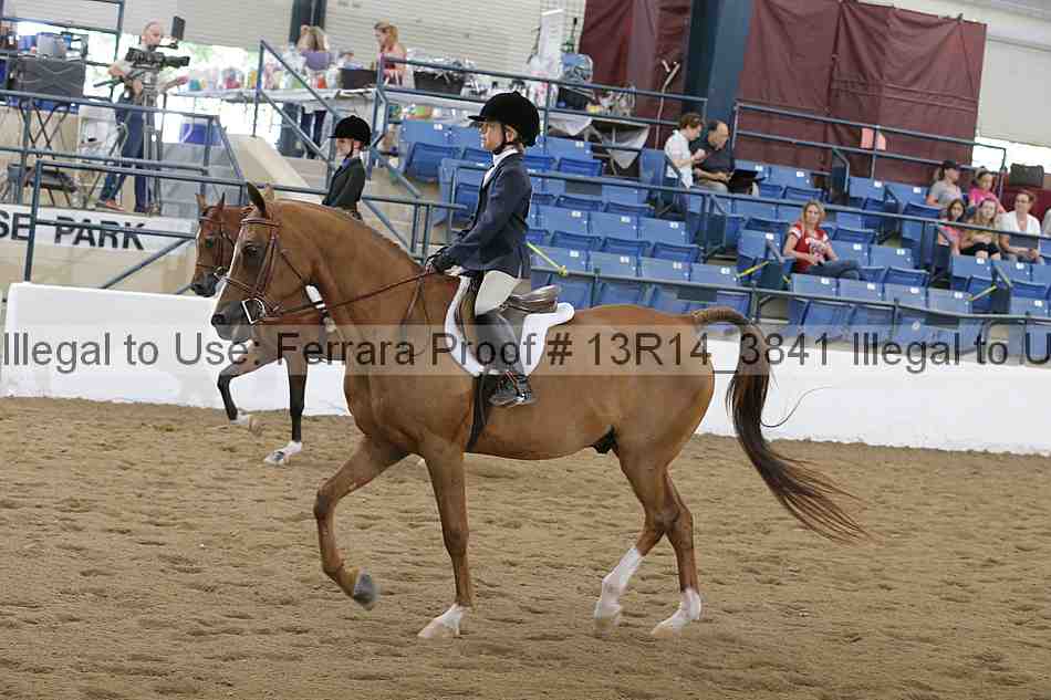 Proof 13r14_3841