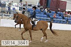 13r14_3841 proof