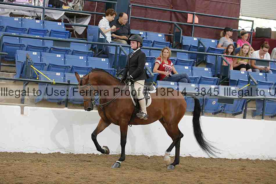 Proof 13r14_3845