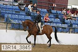 13r14_3845 proof