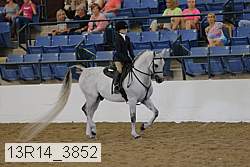 13r14_3852 proof