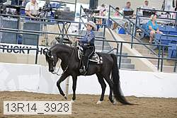 13r14_3928 proof