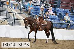 13r14_3933 proof