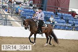13r14_3941 proof