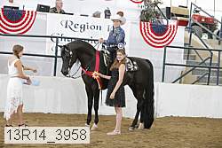 13r14_3958 proof