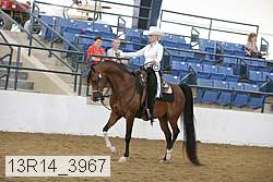 13r14_3967 proof