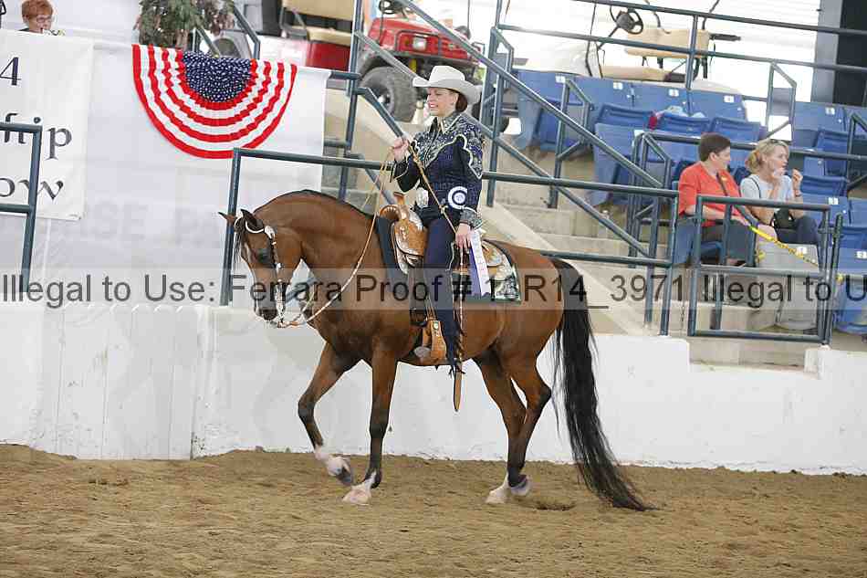 Proof 13r14_3971