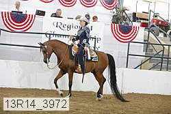 13r14_3972 proof